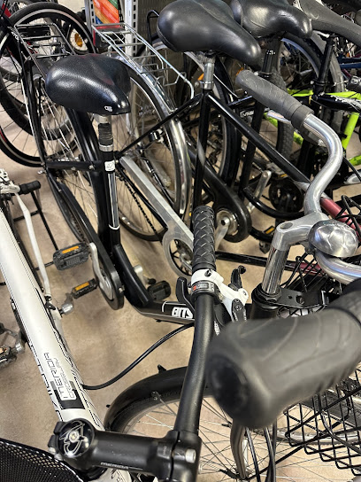 Wali's cykel