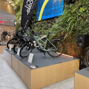Electric Boards & Bikes